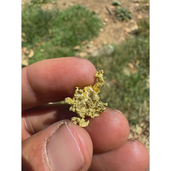 Gold Quartz Crystal Nugget Specimen - Grass Valley, California - 2.9 grams - Picture 5 of 7